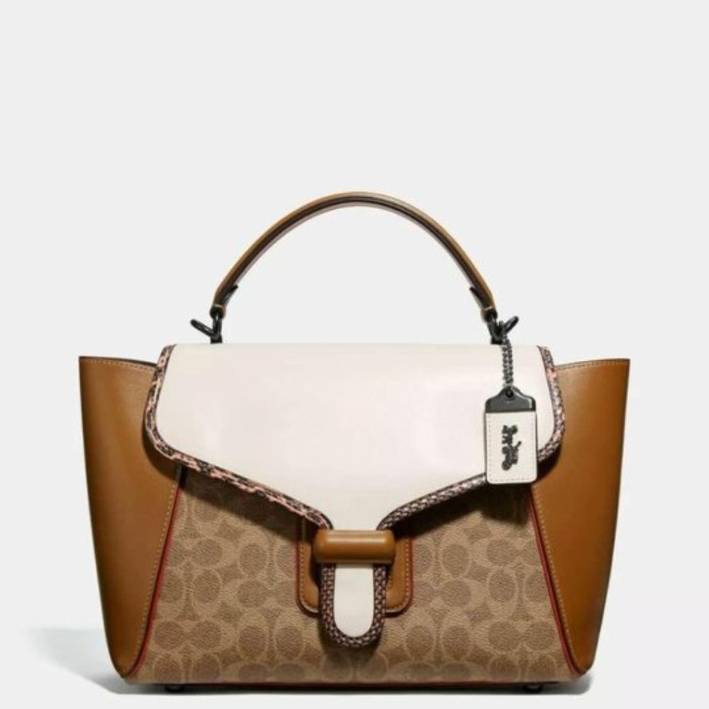 Coach Carryall Snake Print Stachel